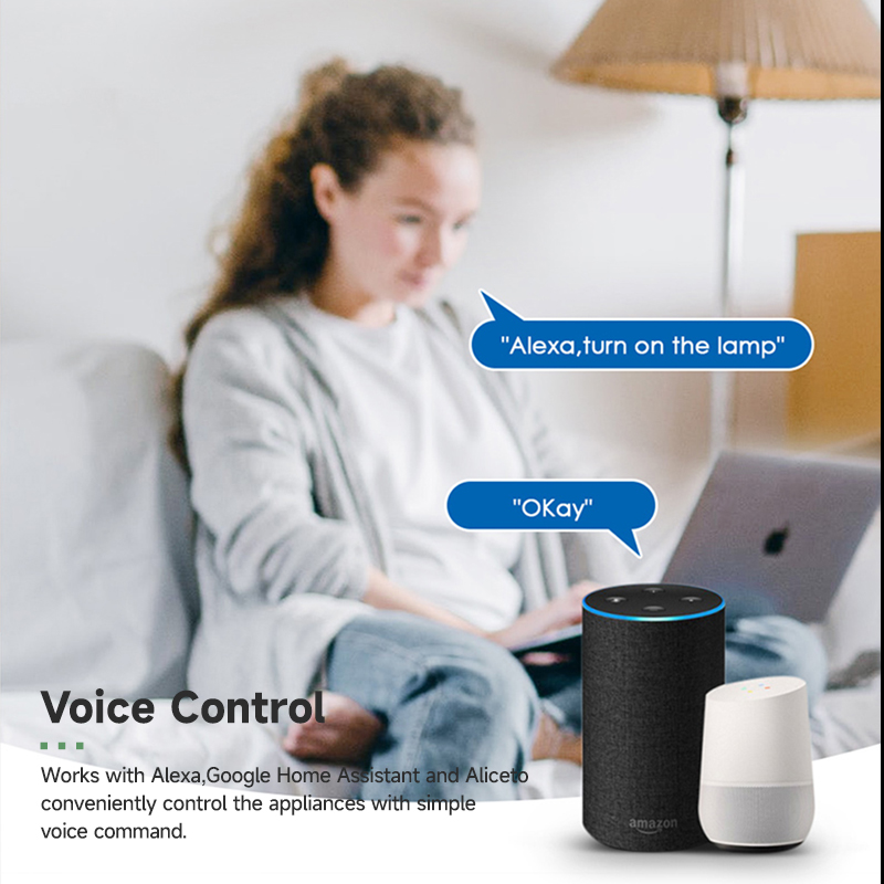 Tuya 스마트 WiFi 스위치 모듈 16A 2방향 제 - Smart Light Switch Wifi 리뷰 및 가격