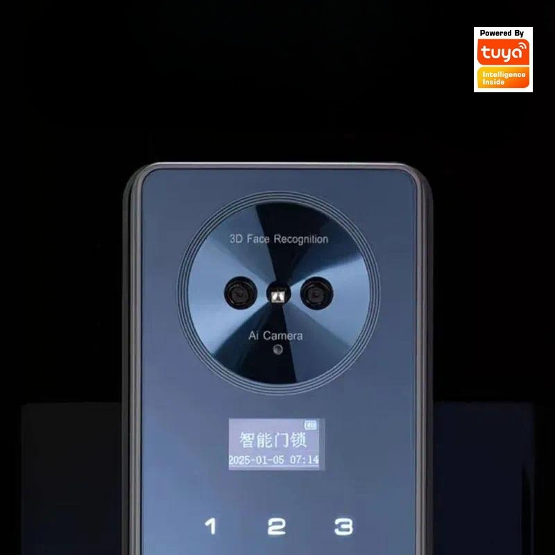 스마트 잠금장치, 얼굴 인식, 자동 작동, 가정용, 손 - Smart Door Lock Wifi 리뷰 및 가격