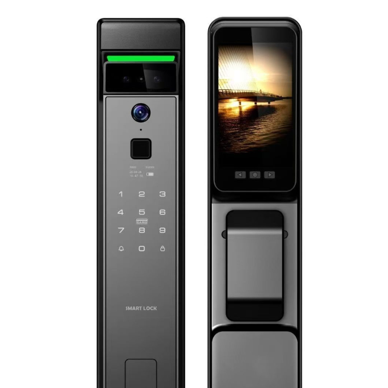 3D 얼굴 인식 지문 잠금 해제 출입문 비밀번호 TUY - Smart Door Lock Wifi 리뷰 및 가격